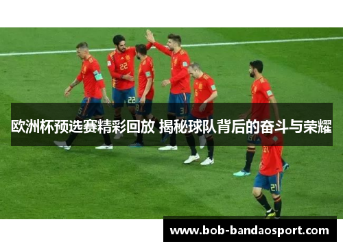 欧洲杯预选赛精彩回放 揭秘球队背后的奋斗与荣耀