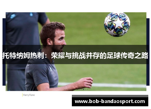 托特纳姆热刺：荣耀与挑战并存的足球传奇之路