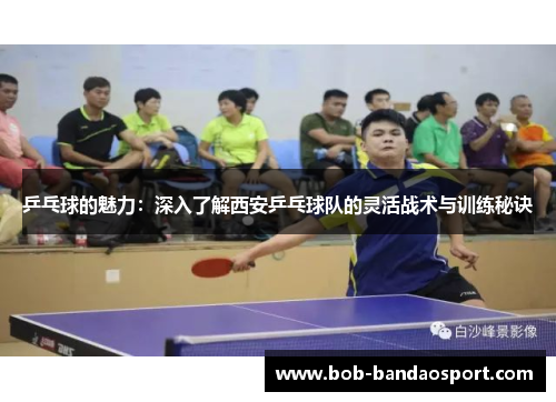 乒乓球的魅力：深入了解西安乒乓球队的灵活战术与训练秘诀